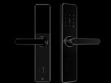 青松沃德-Wi-Fi 指紋鎖家用防盜門(mén)智能門(mén)鎖密碼鎖刷卡電子鎖 防磁干擾 防撬 L9-WT (不含鎖體，鎖體需另購(gòu)）